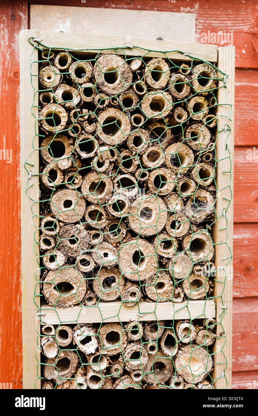 Casella di Nesting composta di cava tubi di legno per attrarre varie specie solitaria di api e di vespe. Foto Stock