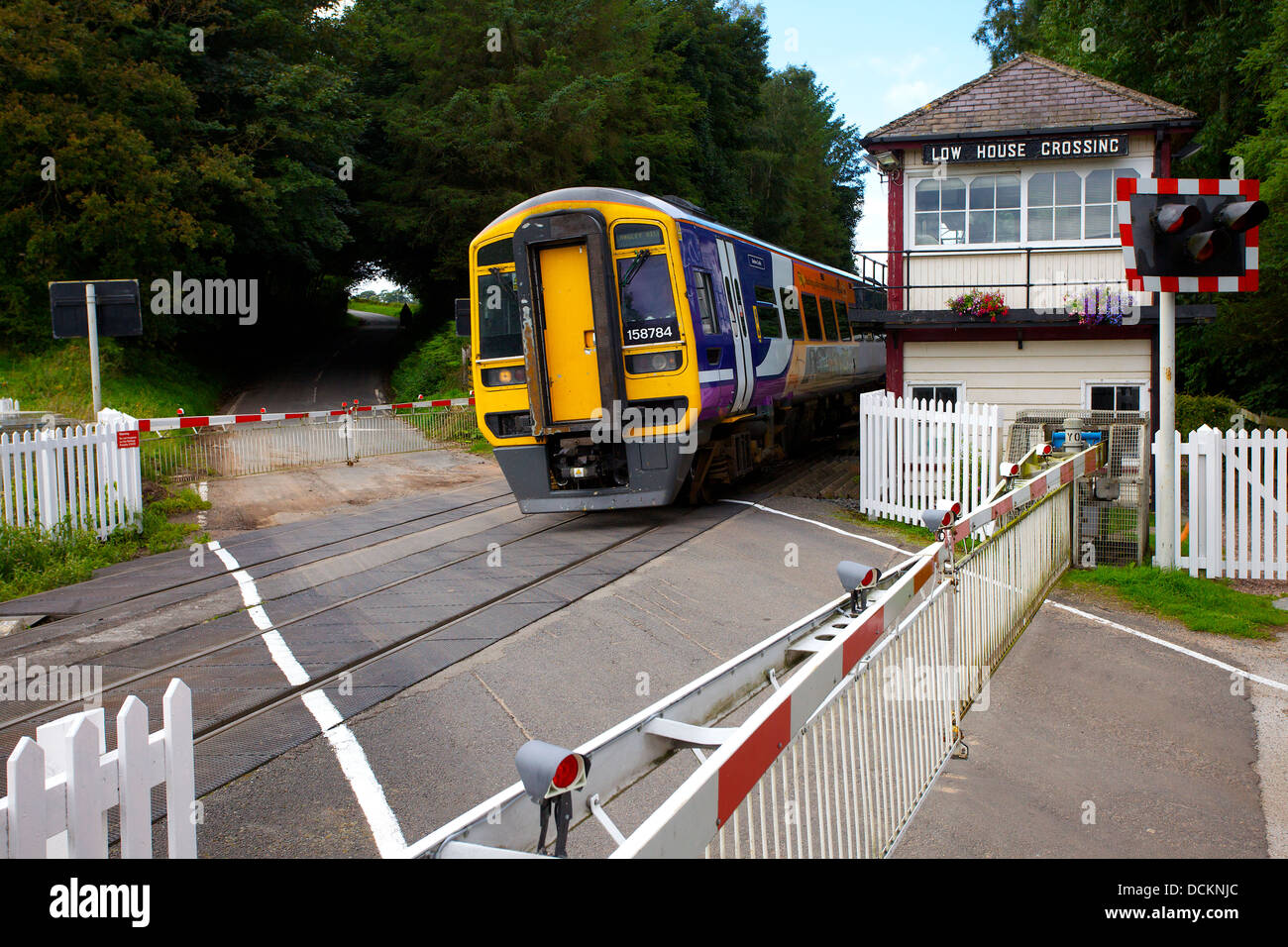 Sprinter treno su Low house attraversando Armathwaite Eden Valley, Cumbria, England, Regno Unito Foto Stock
