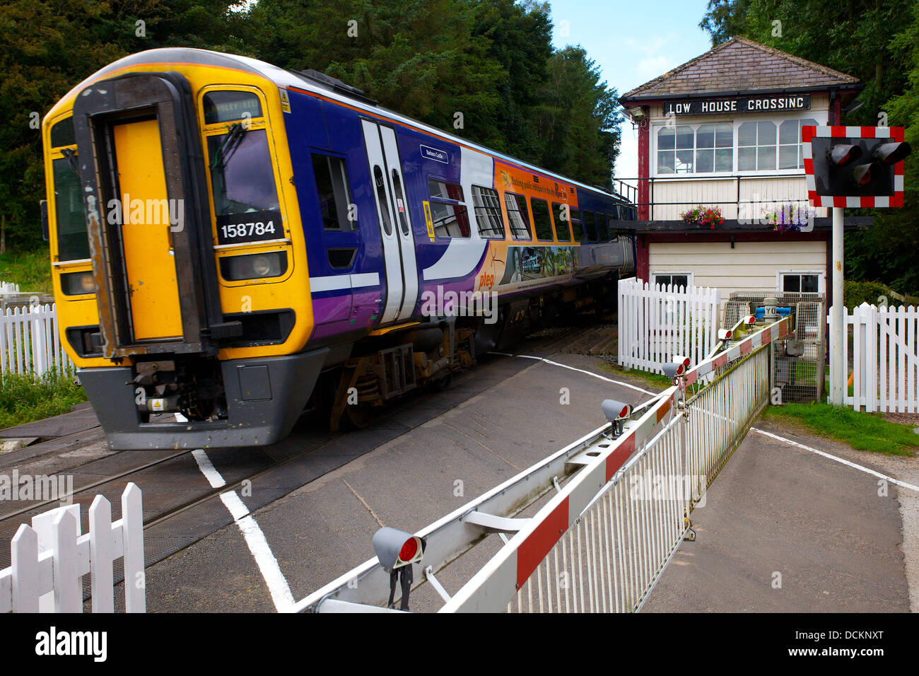 Sprinter treno su Low house attraversando Armathwaite Eden Valley, Cumbria, England, Regno Unito Foto Stock