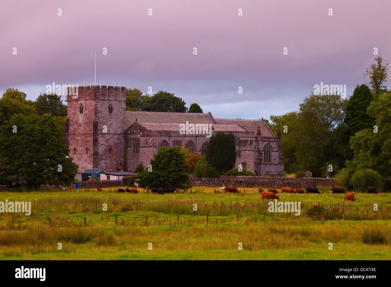 Sant'Andrea Chiesa con le mucche nei feilds infront Greystoke Cumbria Inghilterra England Regno Unito Gran Bretagna Foto Stock