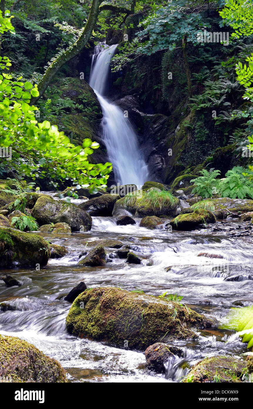 Dolgoch Falls (Rhaeder Dolgoch) nel Parco Nazionale di Snowdonia, un punto panoramico neat Tywyn, Gwynedd, Galles. Foto Stock