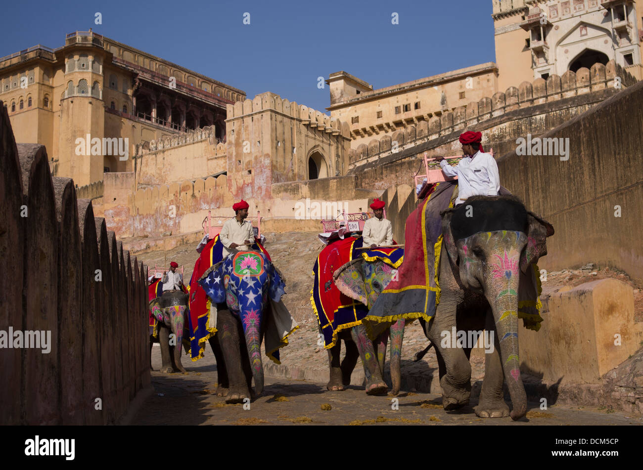 L'elefante indiano che porta i turisti fino ad ambra ( Amer ) Fort / Palace - Jaipur, Rajasthan, India Foto Stock