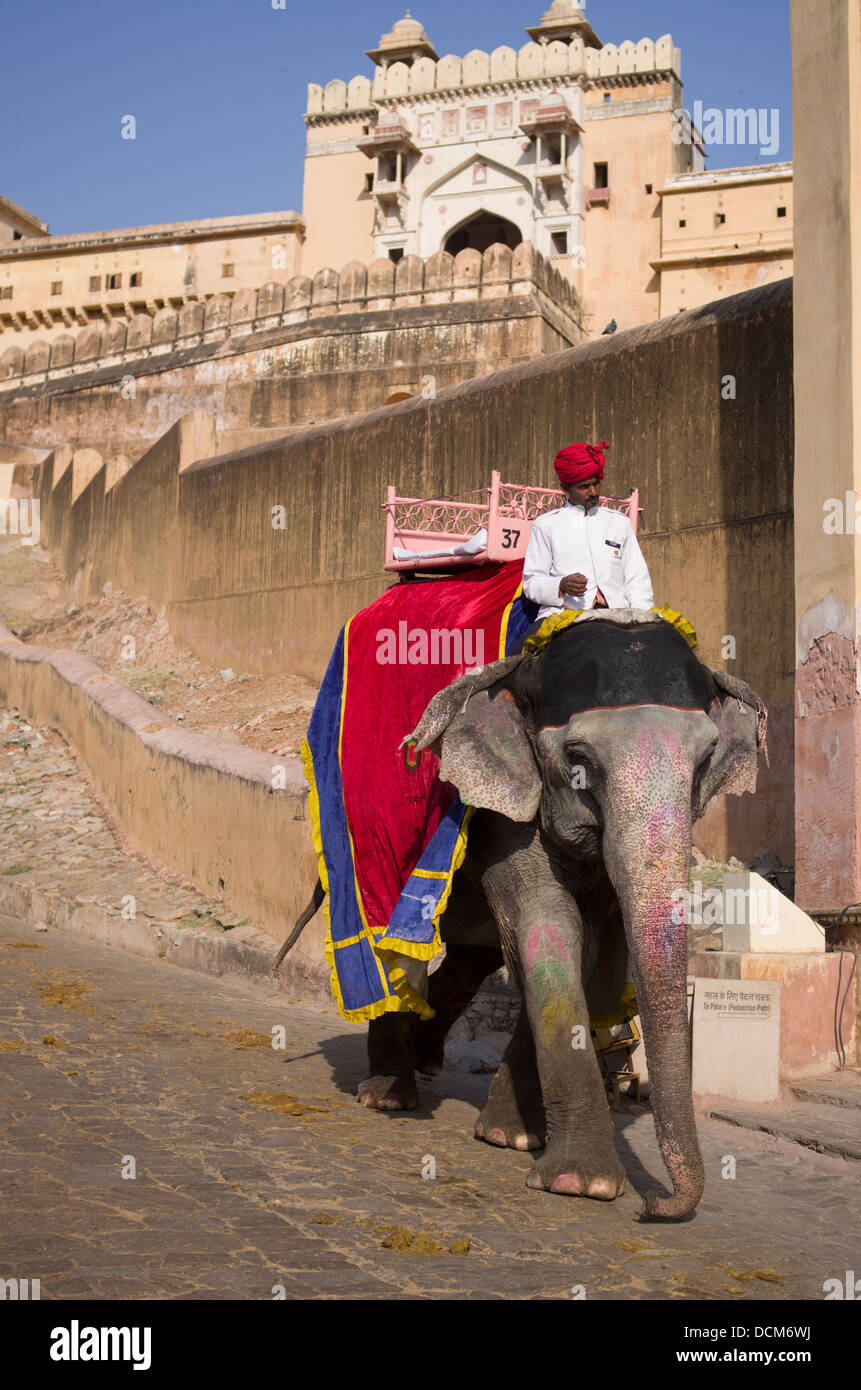 L'elefante indiano che porta i turisti fino ad ambra ( Amer ) Fort / Palace - Jaipur, Rajasthan, India Foto Stock