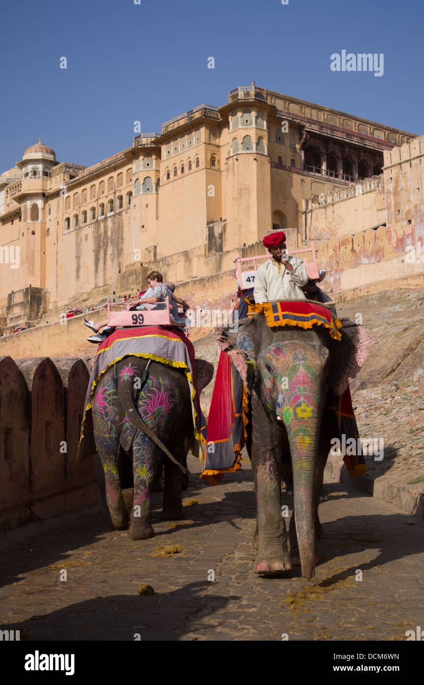 L'elefante indiano che porta i turisti fino ad ambra ( Amer ) Fort / Palace - Jaipur, Rajasthan, India Foto Stock