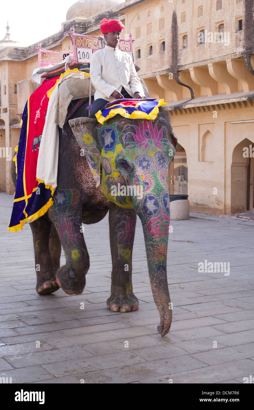 L'elefante indiano che porta i turisti fino ad ambra ( Amer ) Fort / Palace - Jaipur, Rajasthan, India Foto Stock