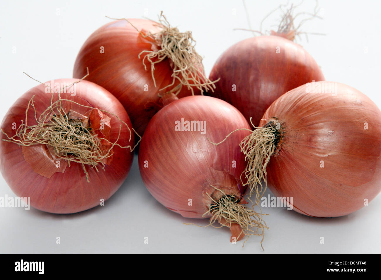 Le cipolle rosse Foto Stock