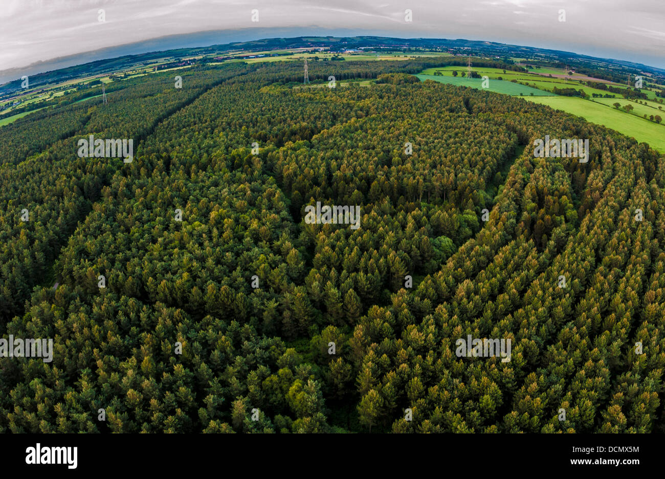 Foto aerea: la foresta e la campagna Foto Stock