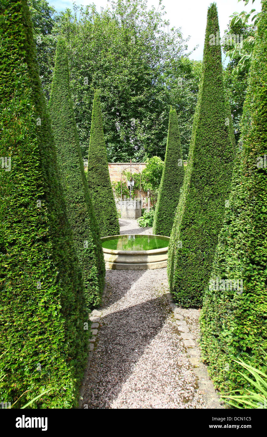 Ritagliato yew guglie del Yew a piedi a Wollerton Old Hall Giardini Giardino Wollerton Market Drayton Shropshire England Regno Unito Foto Stock
