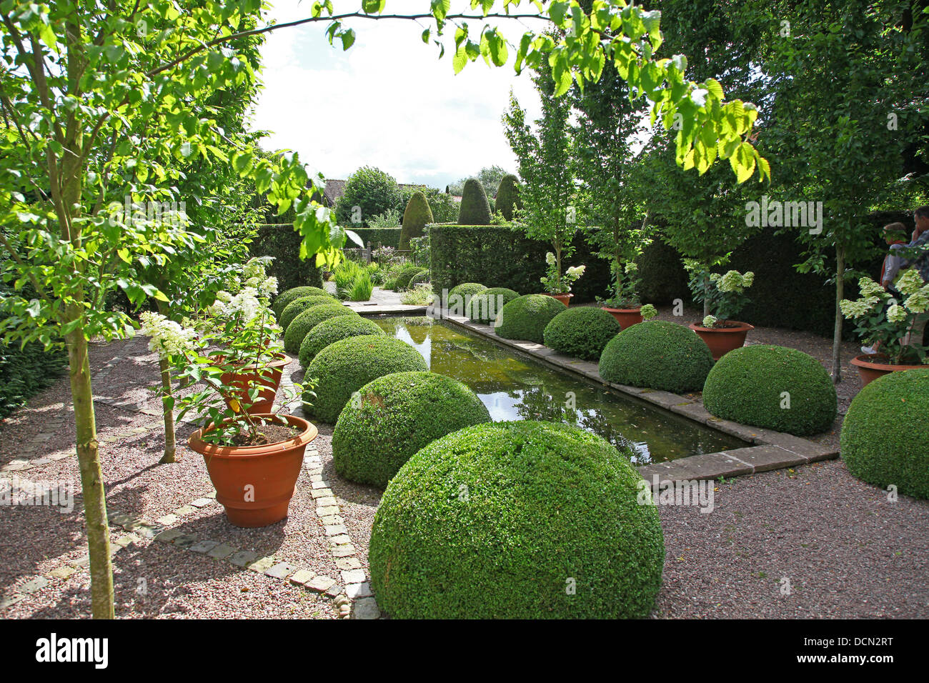 Il laghetto e il topiary al Giardino superiore di Rill a Wollerton Old Hall Gardens giardino Wollerton Market Drayton Shropshire Inghilterra Regno Unito Foto Stock
