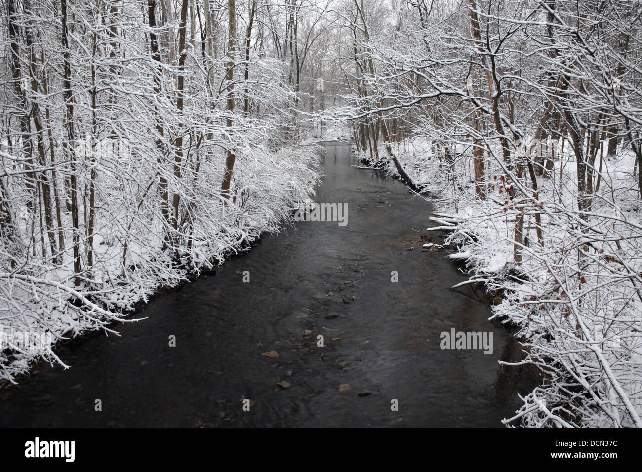 Coperta di neve alberi che incornicia un piccolo ruscello durante l'Inverno nel parco, Sharon Creek a Sharon Woods, Southwestern Ohio, Stati Uniti d'America Foto Stock