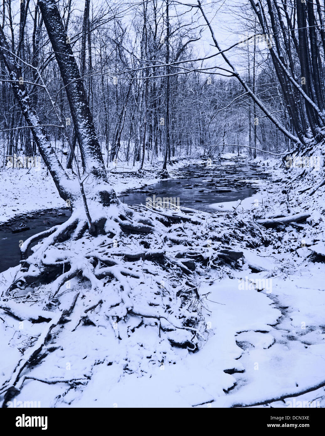 Un piccolo ruscello coperto in inverno la neve su un freddo e nuvoloso giorno Ohio, Keehner Park, Southwestern Ohio, Stati Uniti d'America Foto Stock