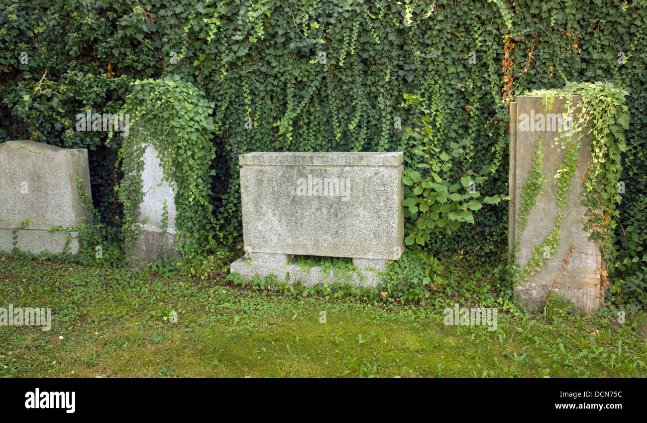 Dettaglio di un cimitero ebraico con lapidi ricoperta di Friburgo (Germania Meridionale) Foto Stock