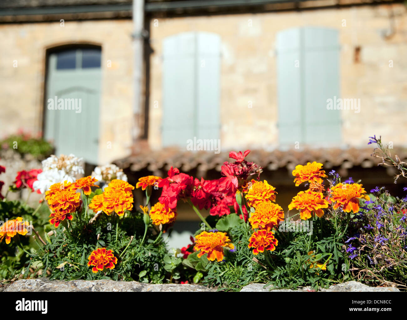 Fiori colorati nella parte anteriore di una casa del villaggio francese di Domme, Dordogne, Francia, Europa Foto Stock