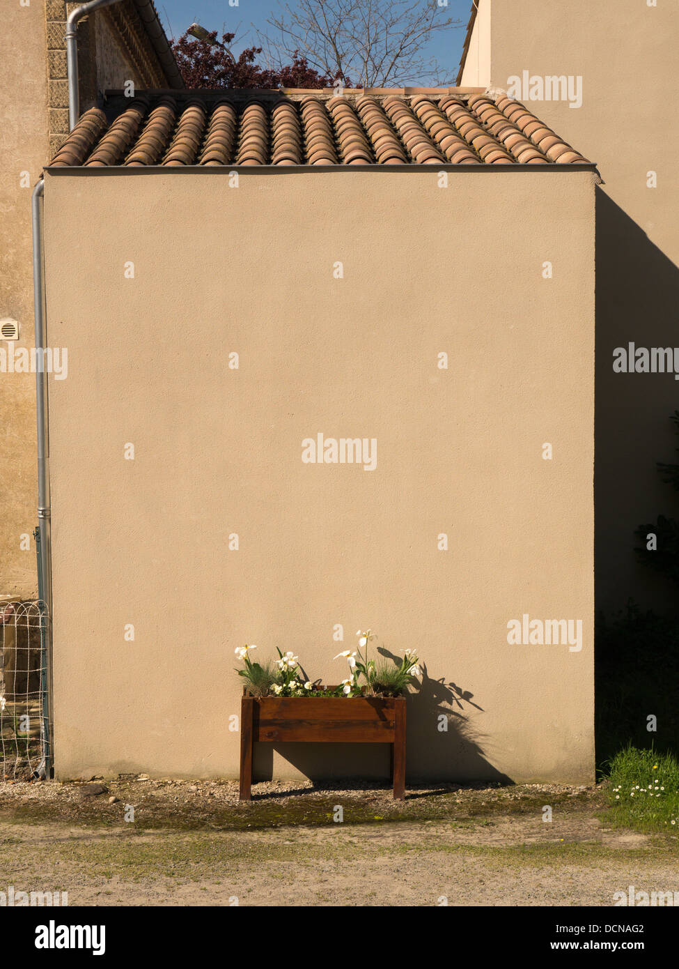 Una piantatrice contro un tipico sud della casa francese nel Languedoc Fance Foto Stock