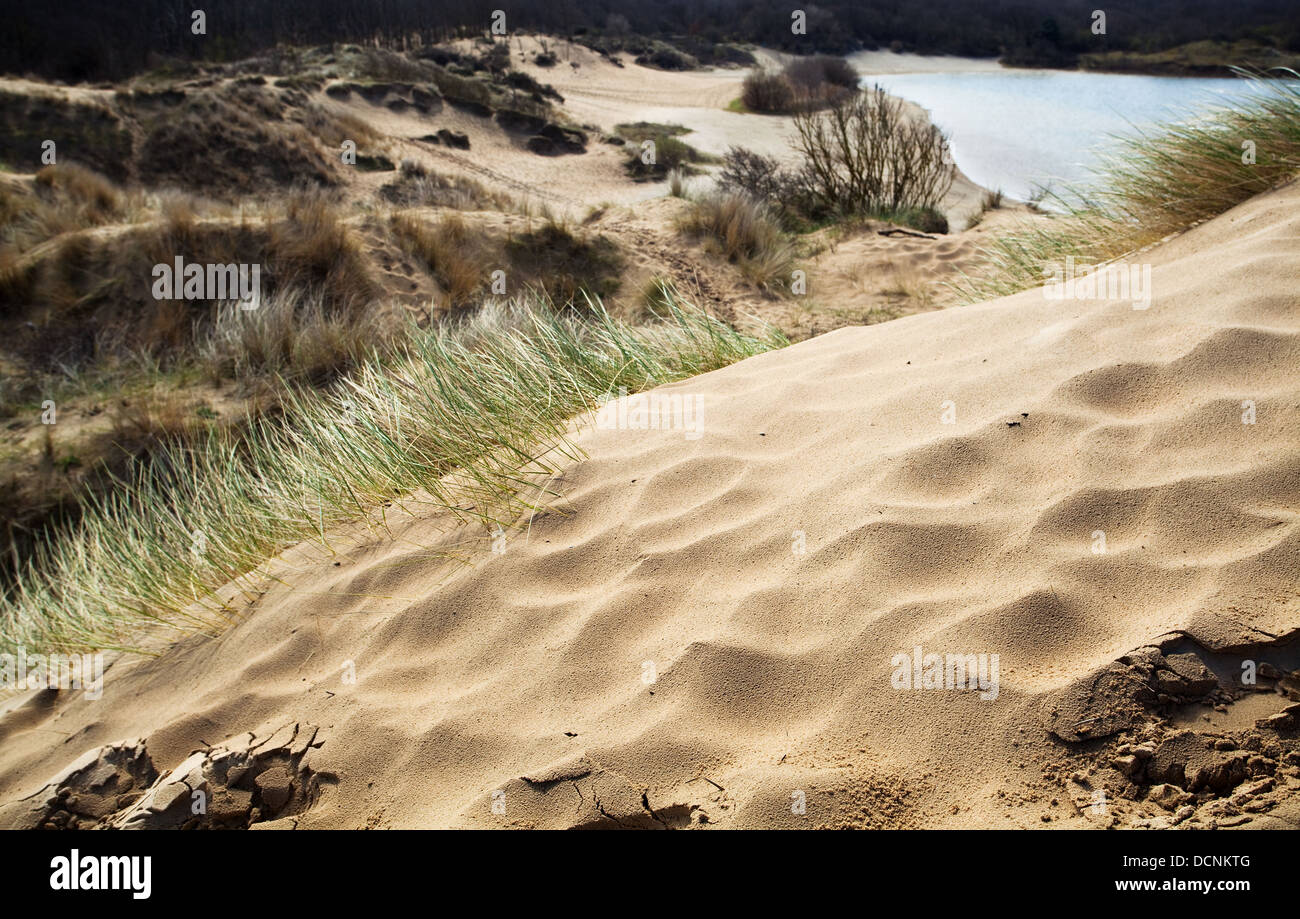 Duna di sabbia Foto Stock