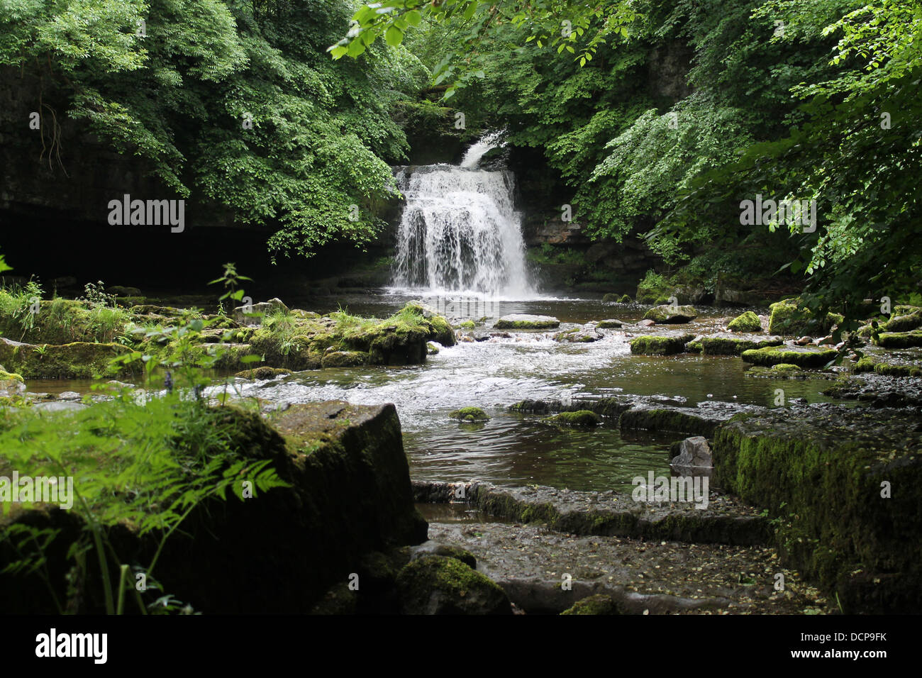 La cascata di West Burton, Yorkshire Dales, National Park, Regno Unito Foto Stock