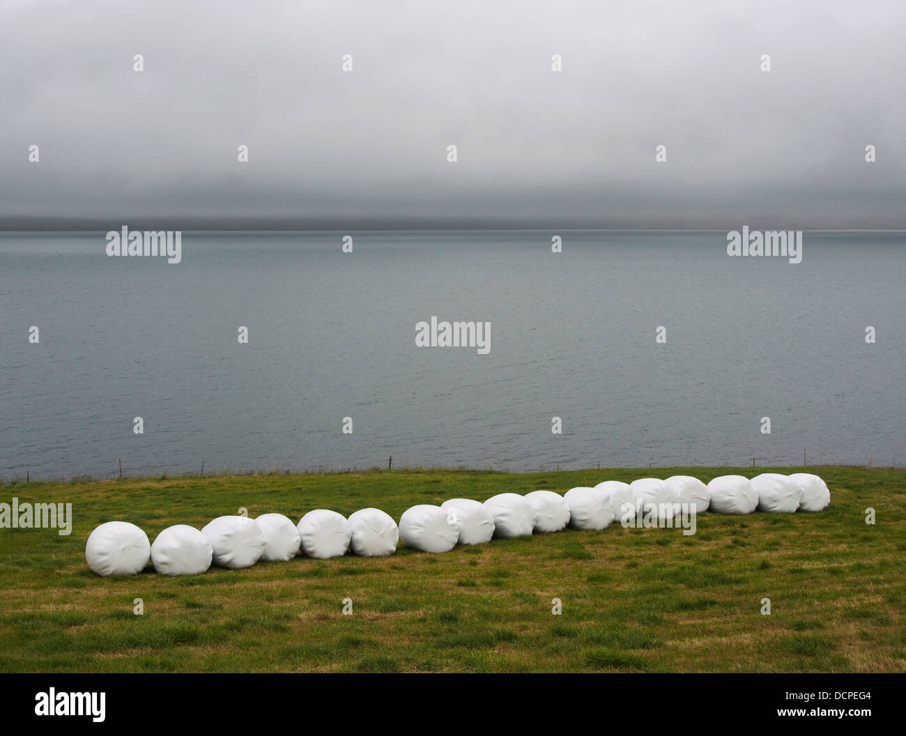 Bianco-avvolgere balle di fieno in azienda da Reyðarfjörður, Eskifjörður, Islanda Foto Stock