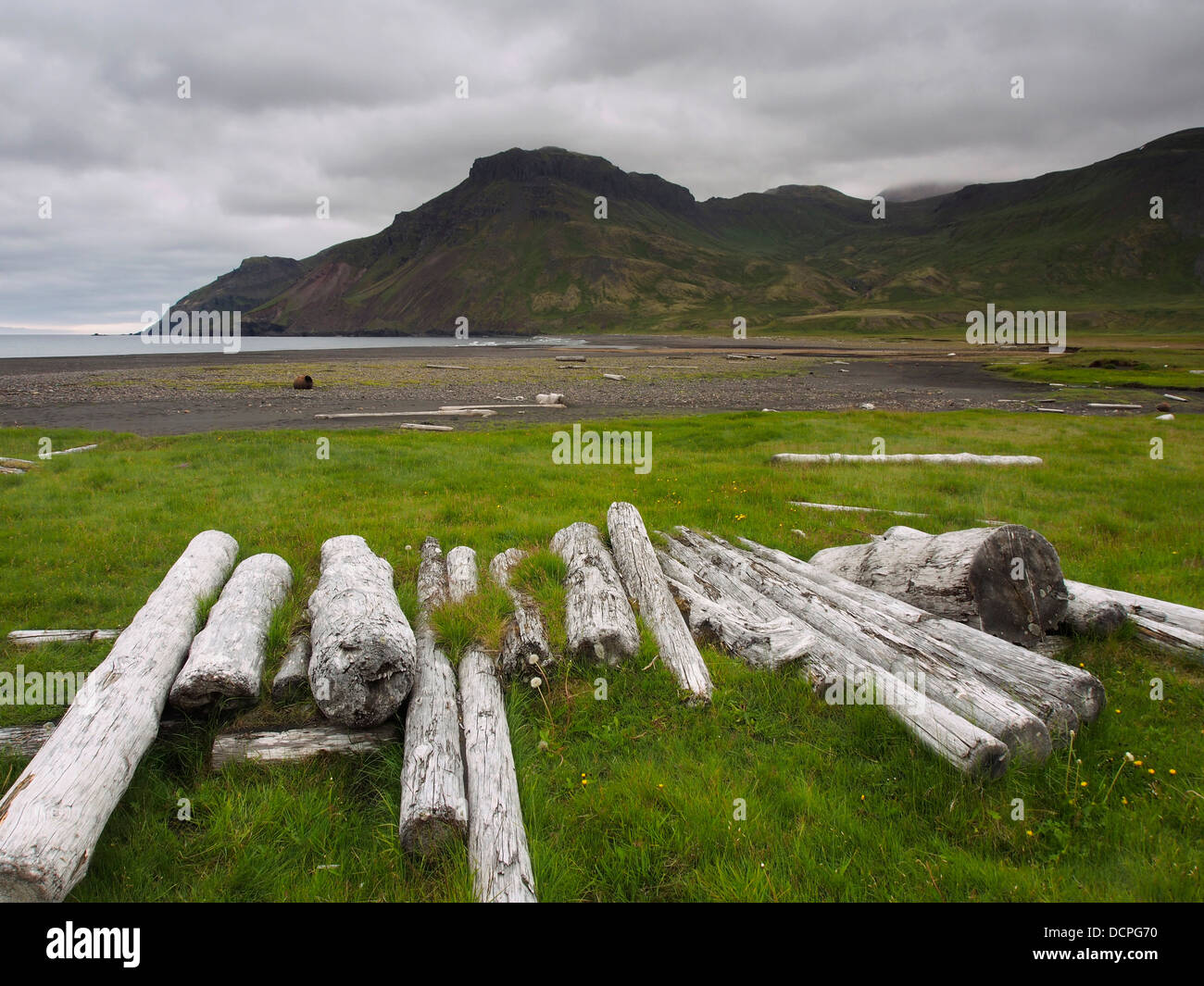 Legname sulla spiaggia, Breiðavík, Islanda Foto Stock