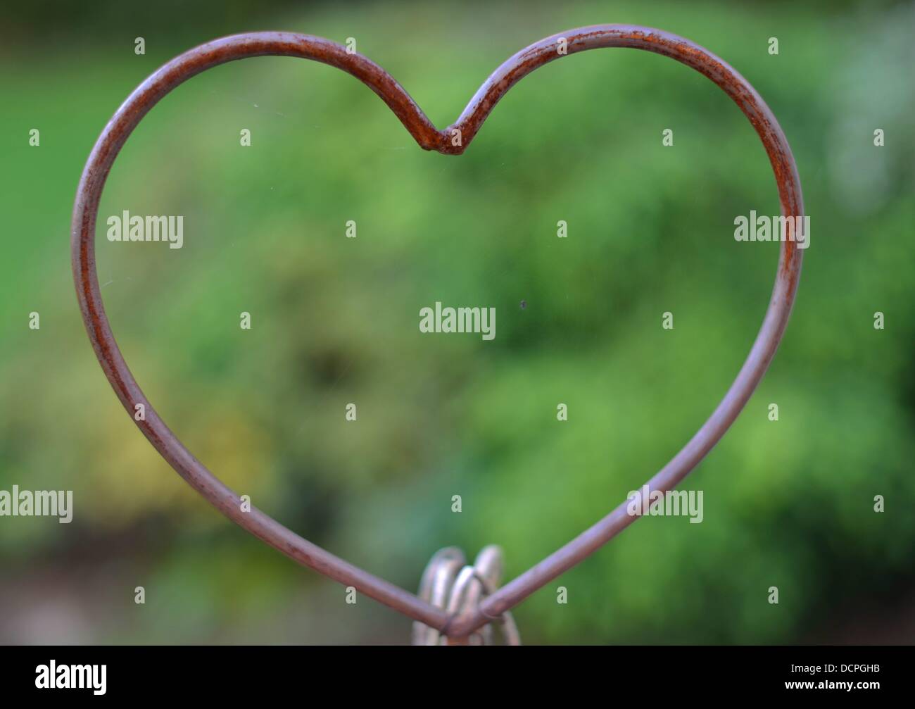 E il cuore di acciaio nel giardino. Foto: Frank può Foto Stock