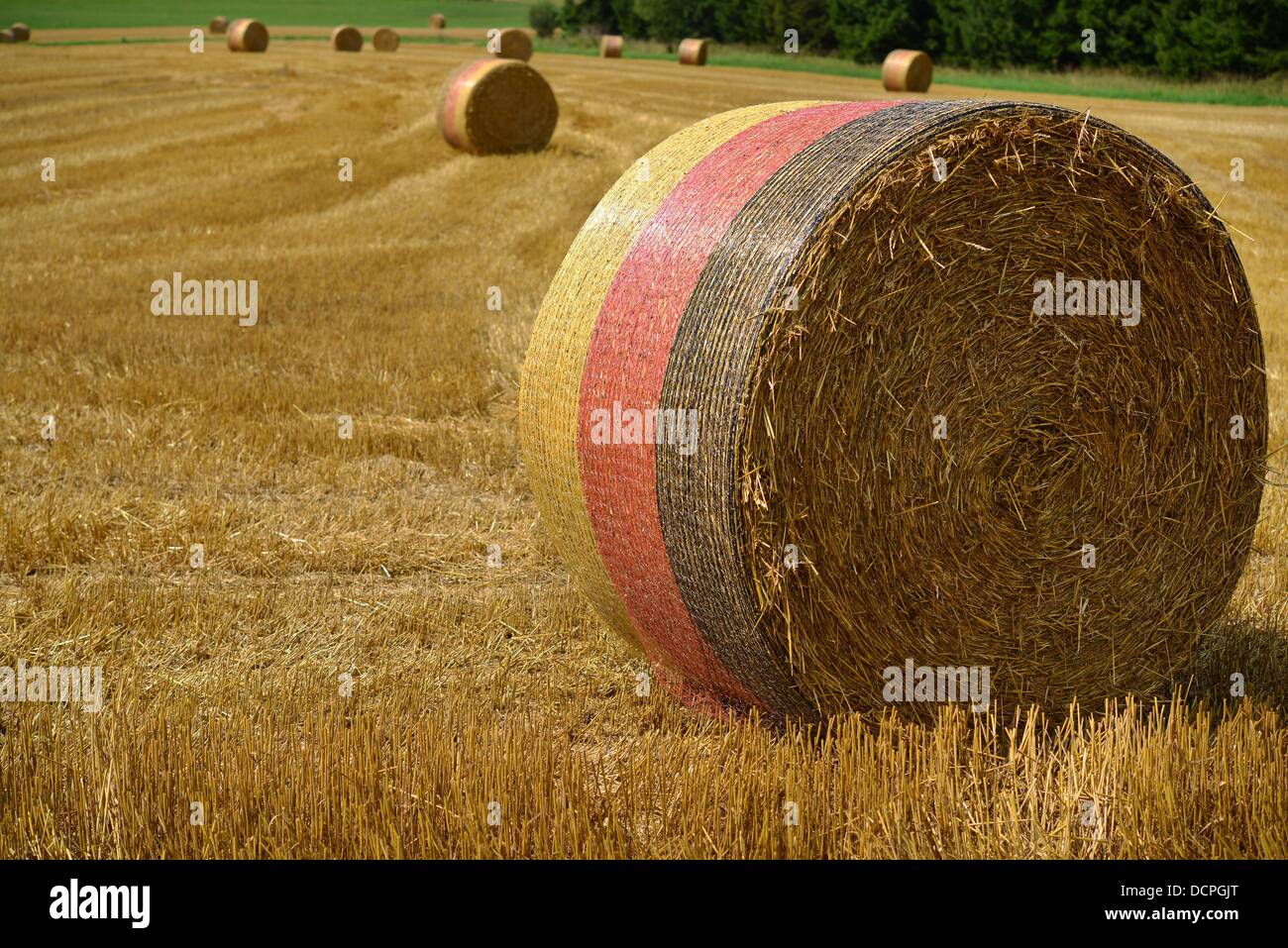 Balle di paglia nei colori del tedesco della bandiera nazionale sono la posa su un campo in Germania. Foto: Frank può Foto Stock