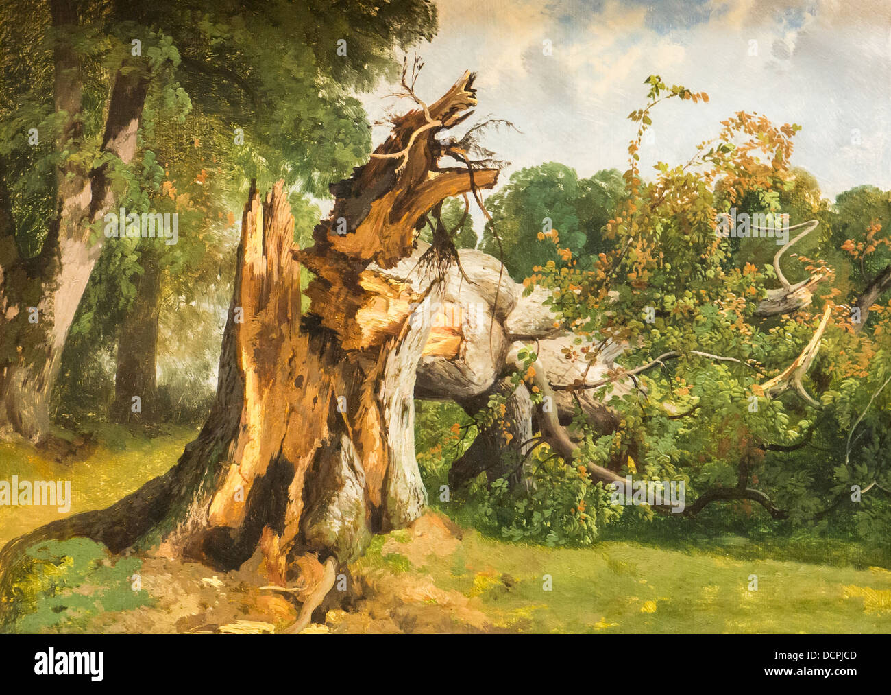 Xix secolo - albero rotto - Alexandre Calame Philippe Sauvan-Magnet / Museo attivo Foto Stock