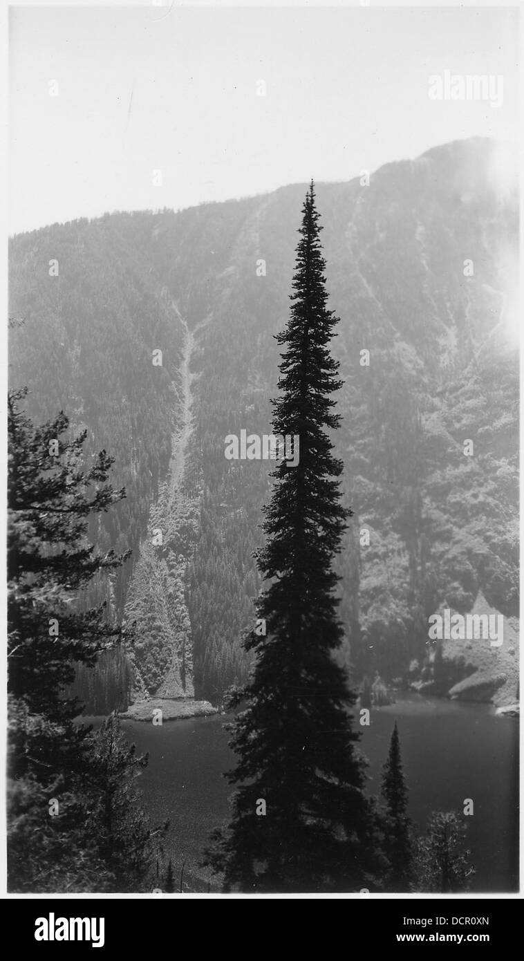 Il lago Glacier, conosciuto per le sue acque tranquille e i suoi splendidi dintorni alpini, è una caratteristica naturale che si trova nelle regioni montuose. È spesso visitata per attività all'aperto come escursioni, pesca e fotografie naturalistiche. Foto Stock