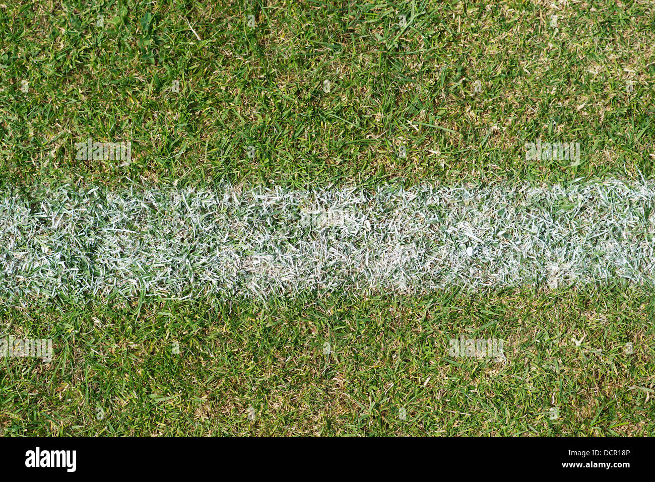 Linea gesso sul campo sportivo in erba in Inghilterra, Regno Unito Foto Stock
