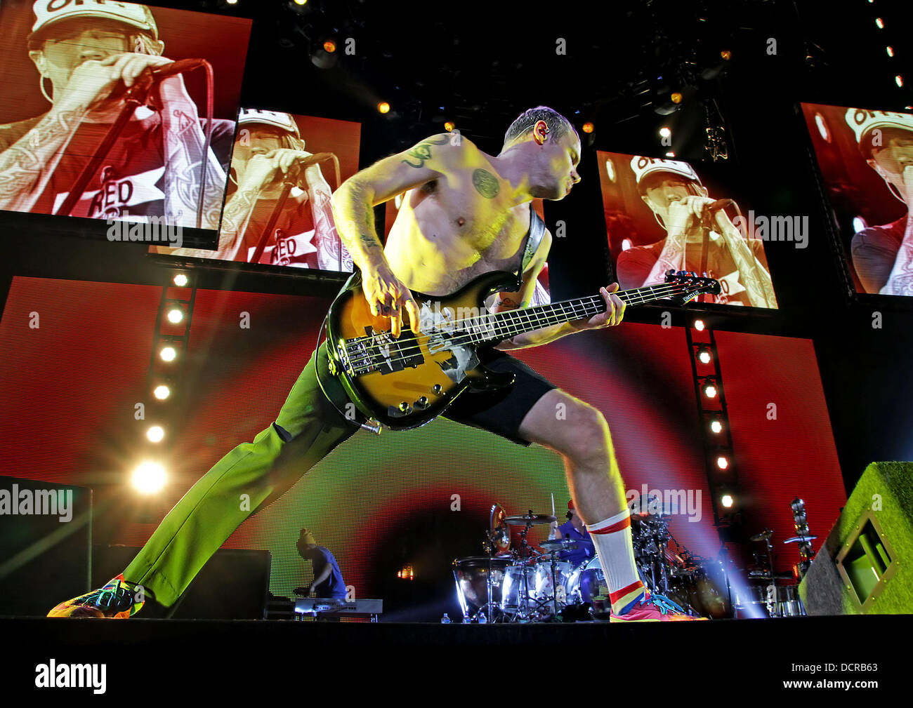 Michael Balzary aka Flea dei Red Hot Chili Peppers eseguendo a Manchester MEN Arena. Manchester, Inghilterra - 14.11.11 Foto Stock