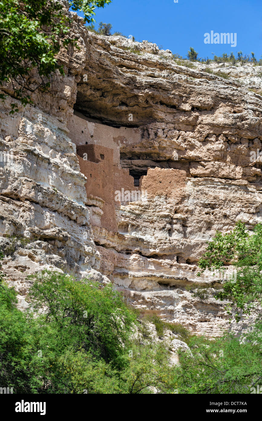 Montezuma Castle National Monument, ben conservata cliff dimora del popolo Sinagua, vicino a Camp Verde, Arizona, Stati Uniti d'America Foto Stock