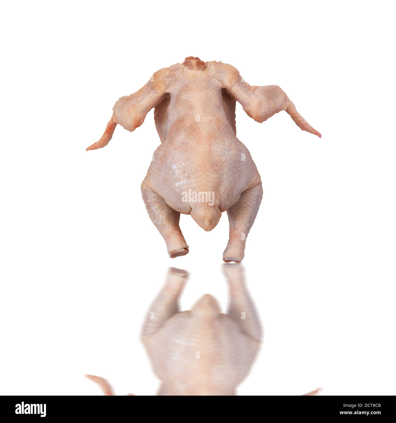 passeggiate di pollo Foto Stock