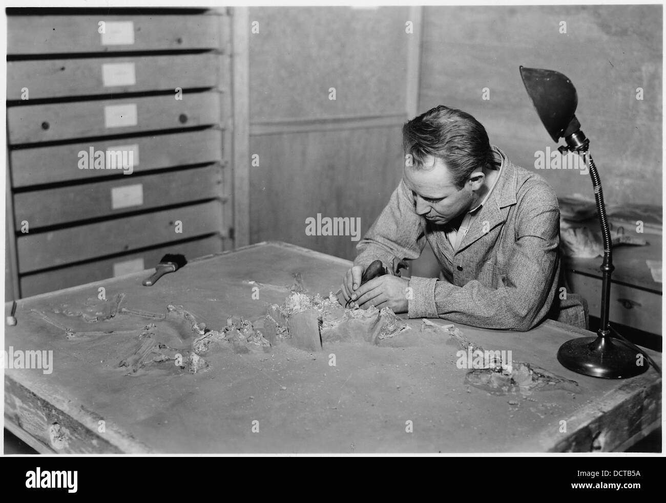 Charles W. Sternberg lavorando sulla lastra di pietra arenaria fossile contenente - - 286028 Foto Stock