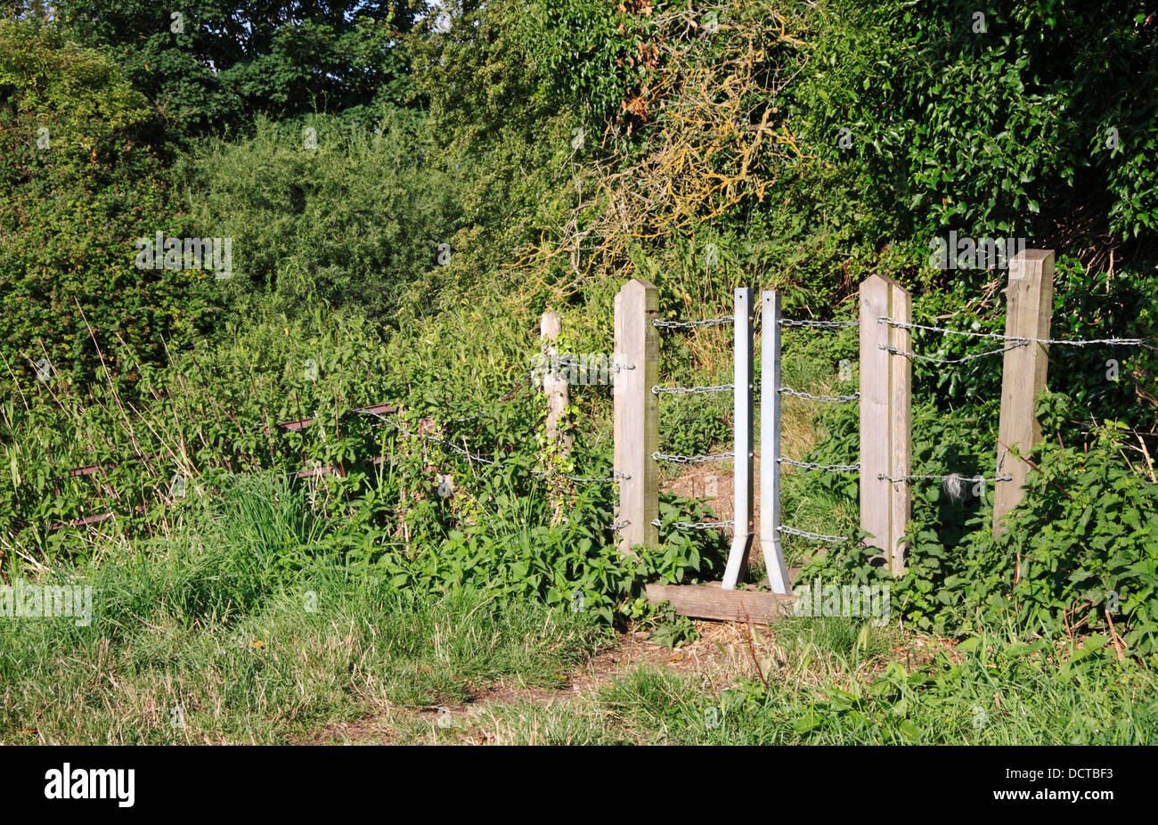 Un rambler's gate su un sentiero pubblico dal fiume Bure a poco Hautbois, Norfolk, Inghilterra, Regno Unito. Foto Stock