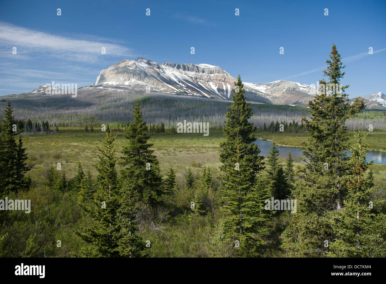 Divano montagna Parco Nazionale dei laghi di Waterton Alberta Canada Foto Stock