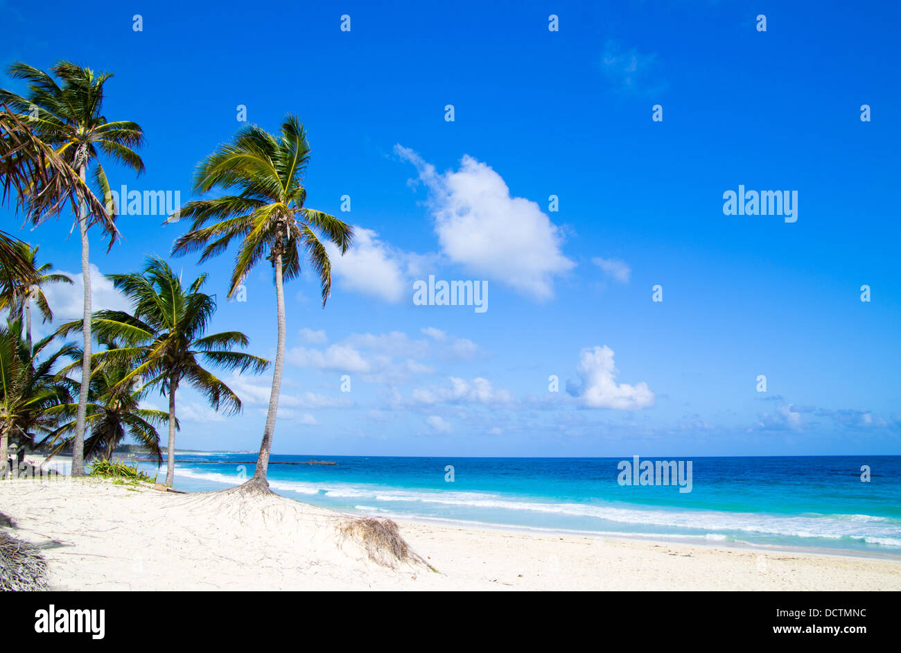 spiaggia tropicale Foto Stock