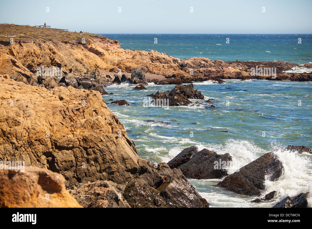 La pietra di luna Beach, Cambria, California, Stati Uniti d'America Foto Stock