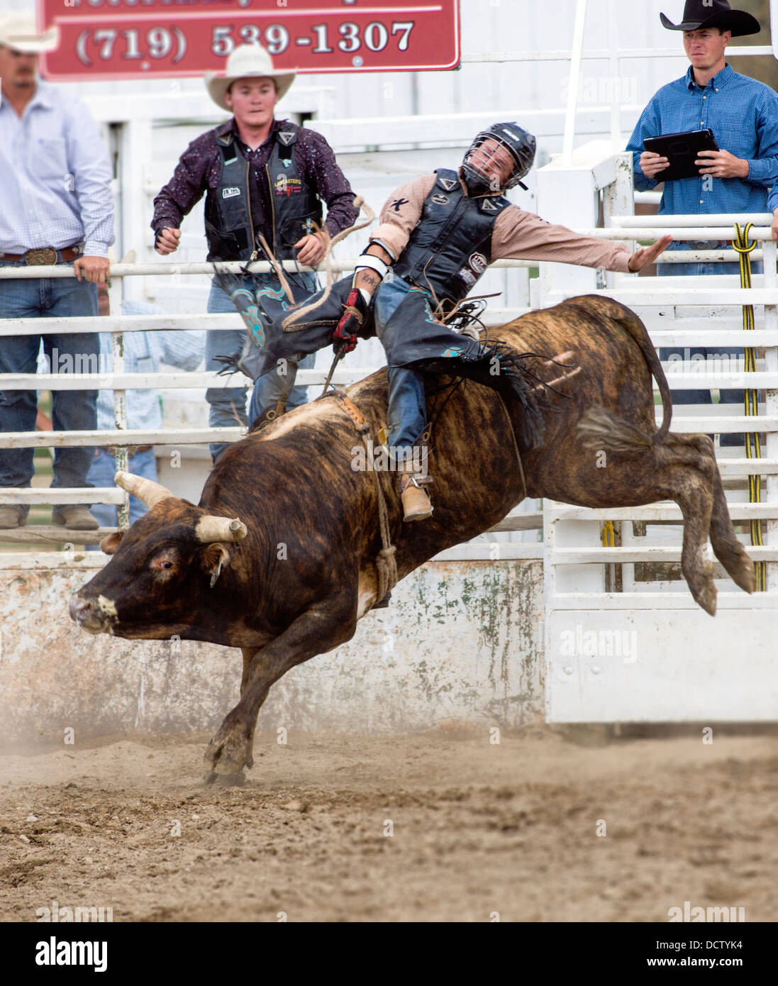 Cowboy a cavallo di un toro in un toro concorso di equitazione, Chaffee County Fair & Rodeo Foto Stock