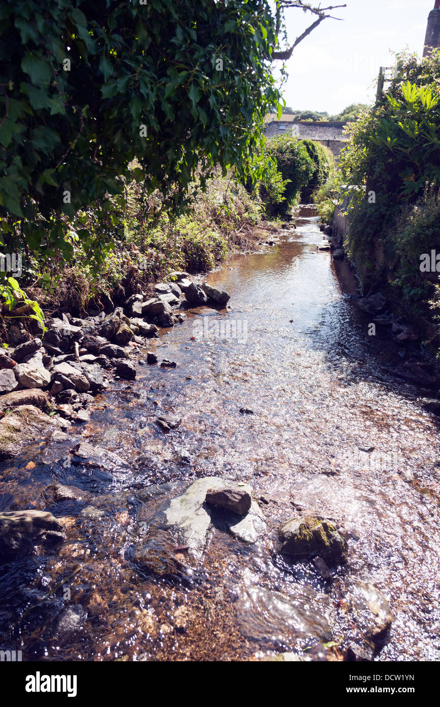 Millbrook Stream Southpool Devon UK Foto Stock