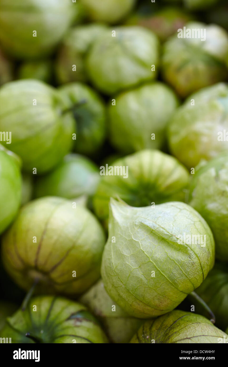 Tomatillos freschi sul visualizzatore in corrispondenza di un Vermont mercato agricolo Foto Stock