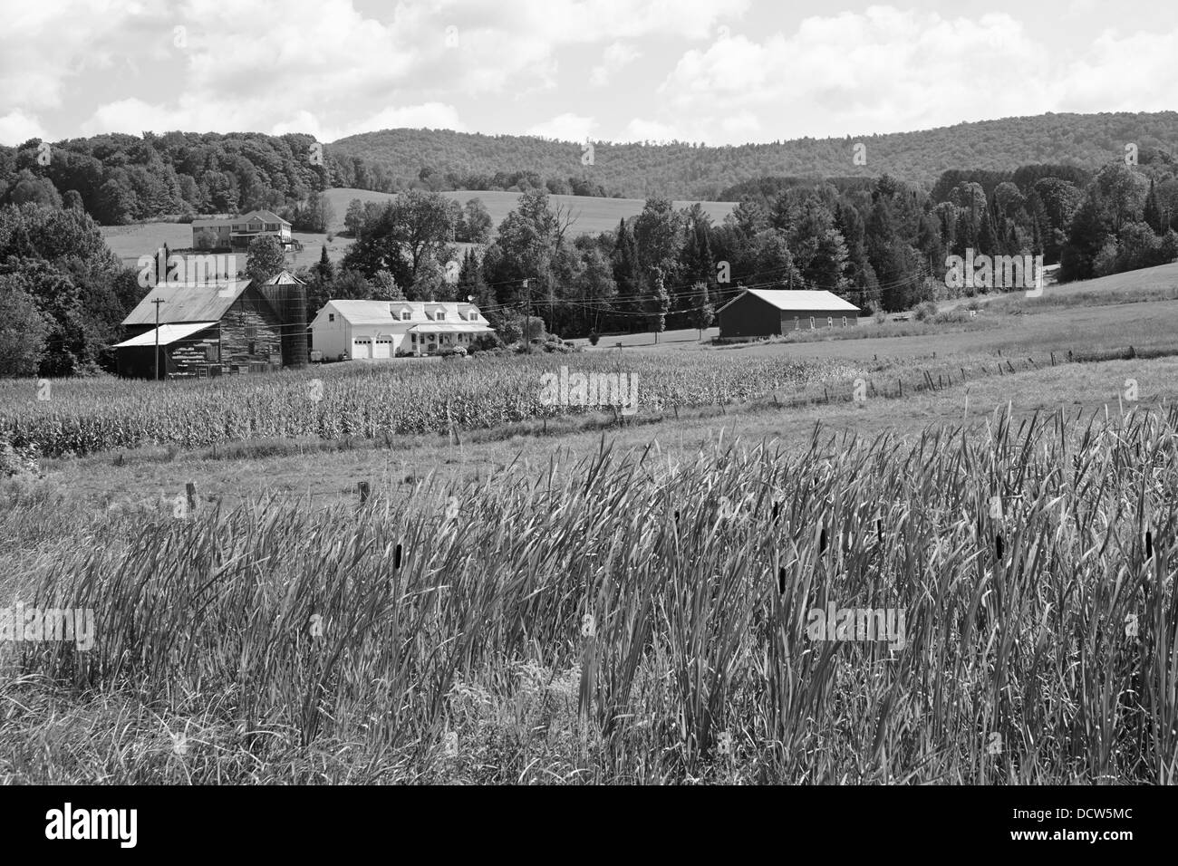 Wilder Farm, Lyndonville, Vermont, New England, STATI UNITI D'AMERICA Foto Stock