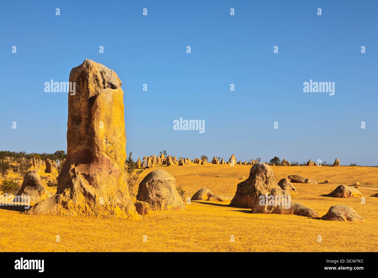 Nambung National Park, o i pinnacoli, a nord di Perth in Australia Occidentale, uno di Australia le grandi attrazioni turistiche. Foto Stock