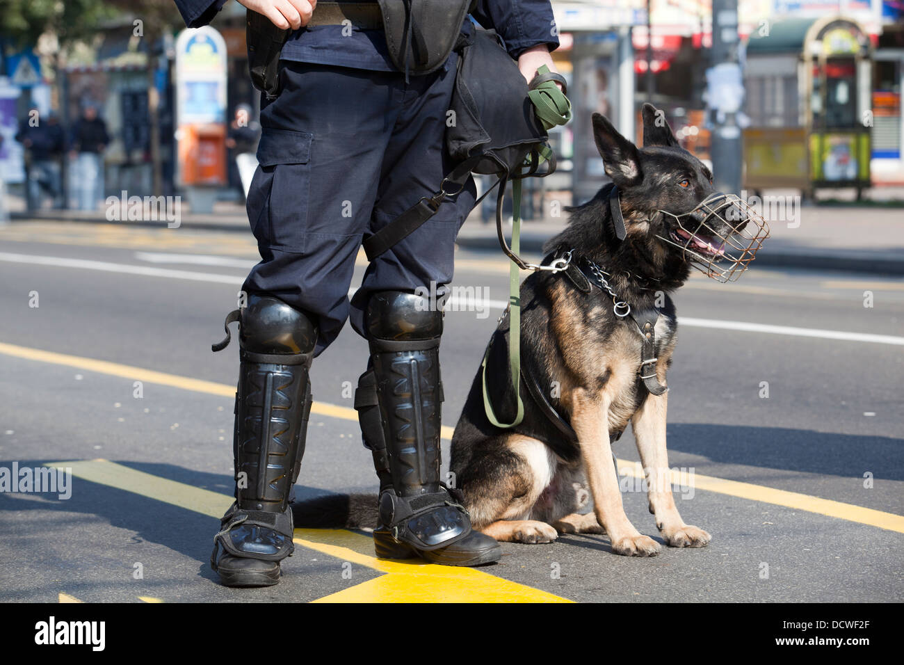 Poliziotto con il cane Foto Stock