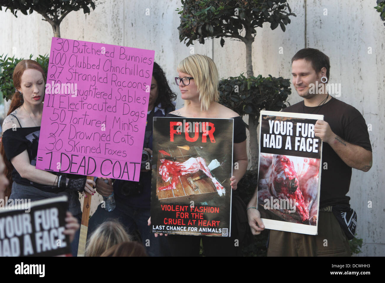 Anti-fur contestatori prendere per le strade di Beverly Hills il Venerdì nero di Los Angeles, California - 25.11.11 Foto Stock