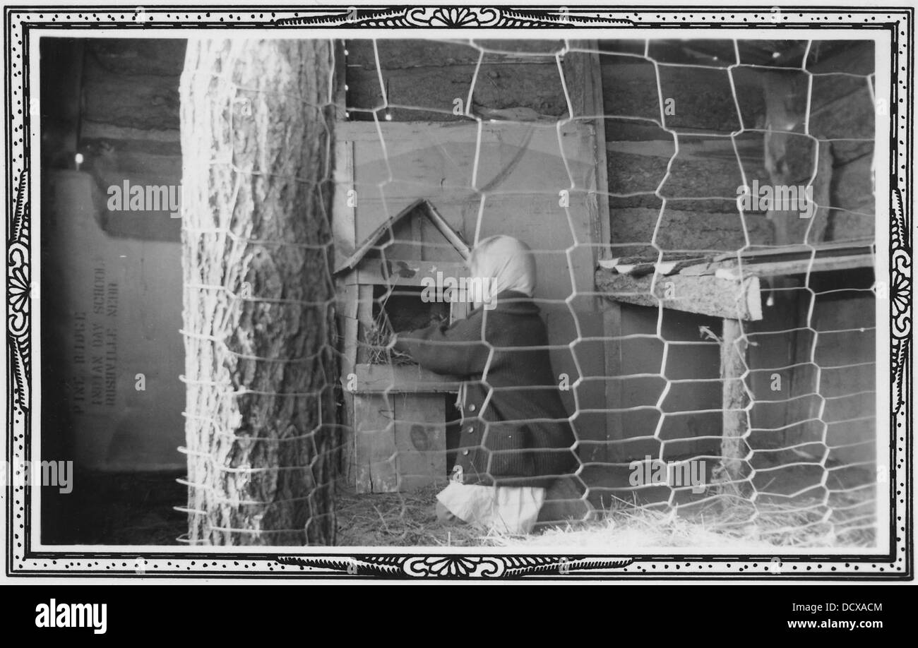 Si vede una ragazza mettere la paglia in una scatola di nido a forma di casa, impegnandosi in un'attività tradizionale che mette in evidenza il suo ruolo nella cura degli animali o nell'allevamento. Foto Stock