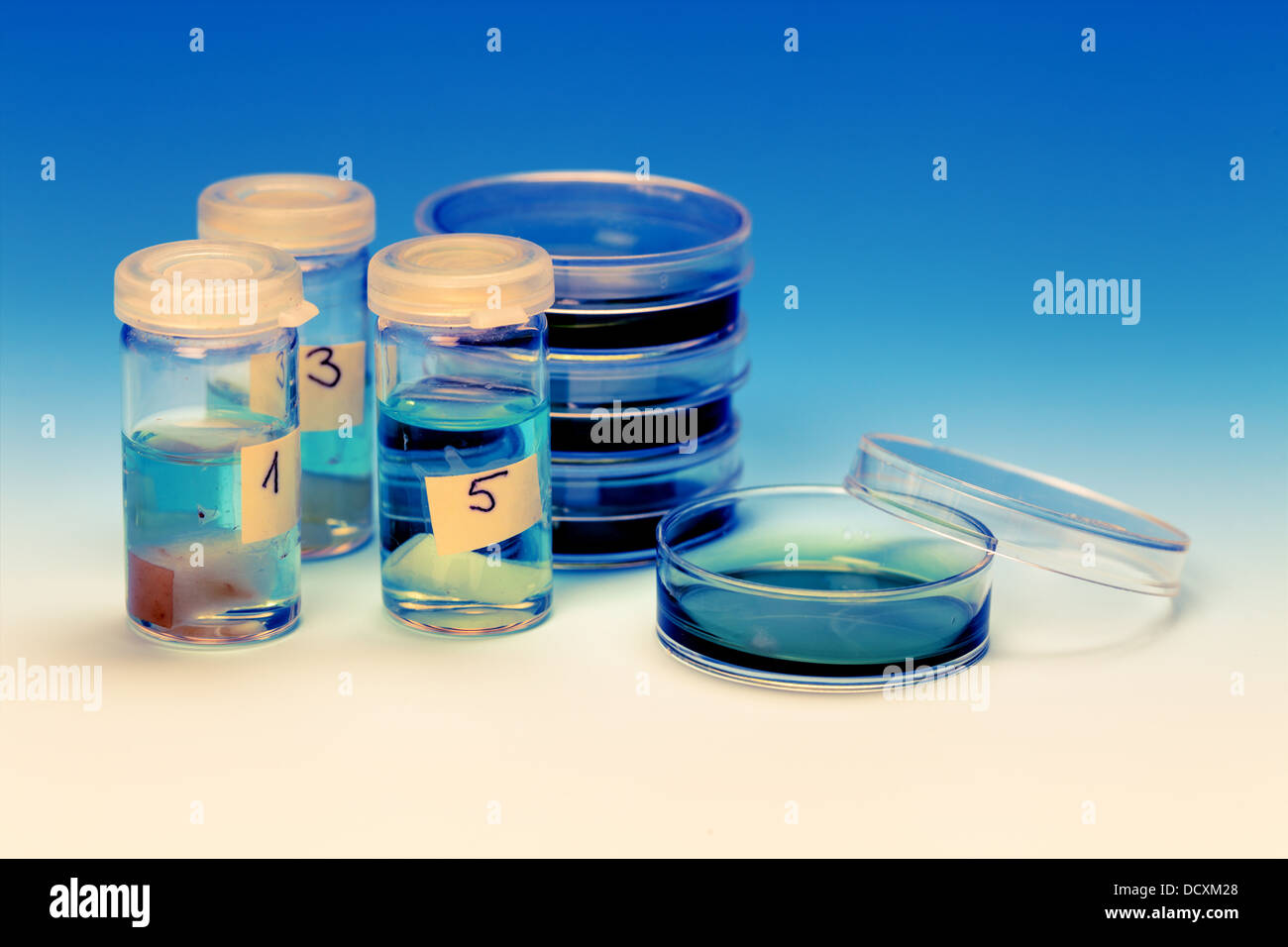 Piastre di Petri e fiale mediche Foto Stock