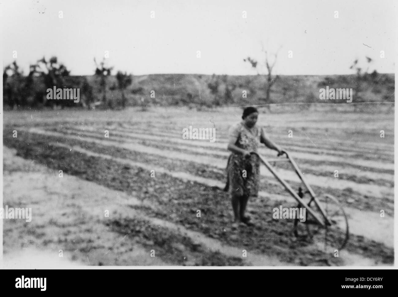 Una donna indiana usa un timone manuale per preparare il terreno per il lavoro agricolo. Questa scena riflette il lavoro e le attività quotidiane dell'agricoltura nelle zone rurali dell'India, mostrando i metodi agricoli tradizionali. Foto Stock