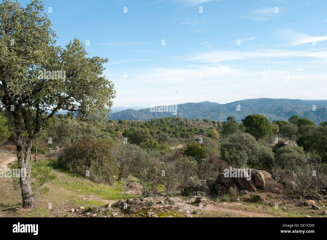 Paesaggio mediterraneo Sierra Morena Andalusia Spagna Foto Stock