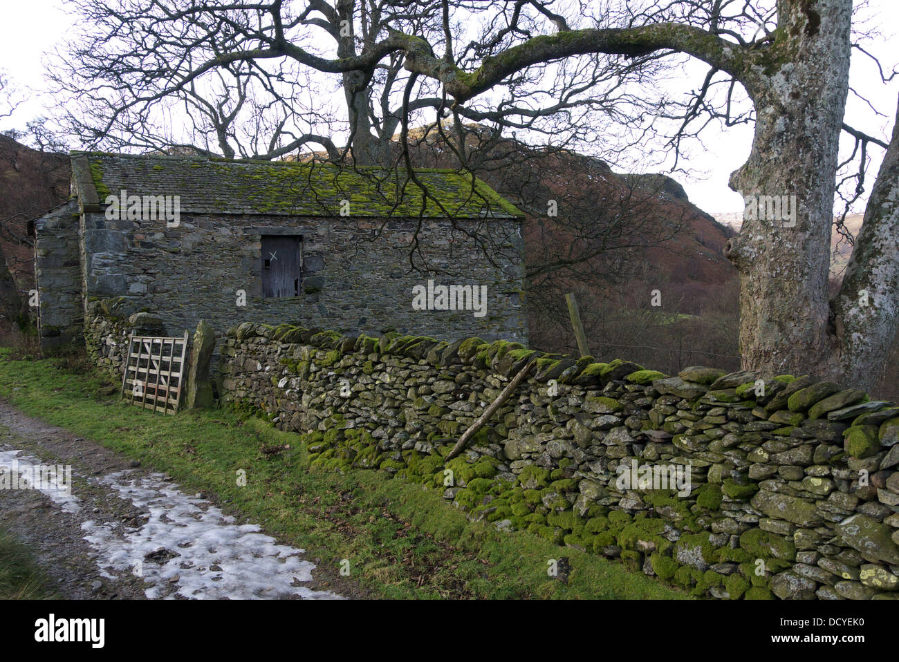 Asciugare la parete in pietra e fienile, Ullswater, Lake District, Cumbria, Regno Unito Foto Stock
