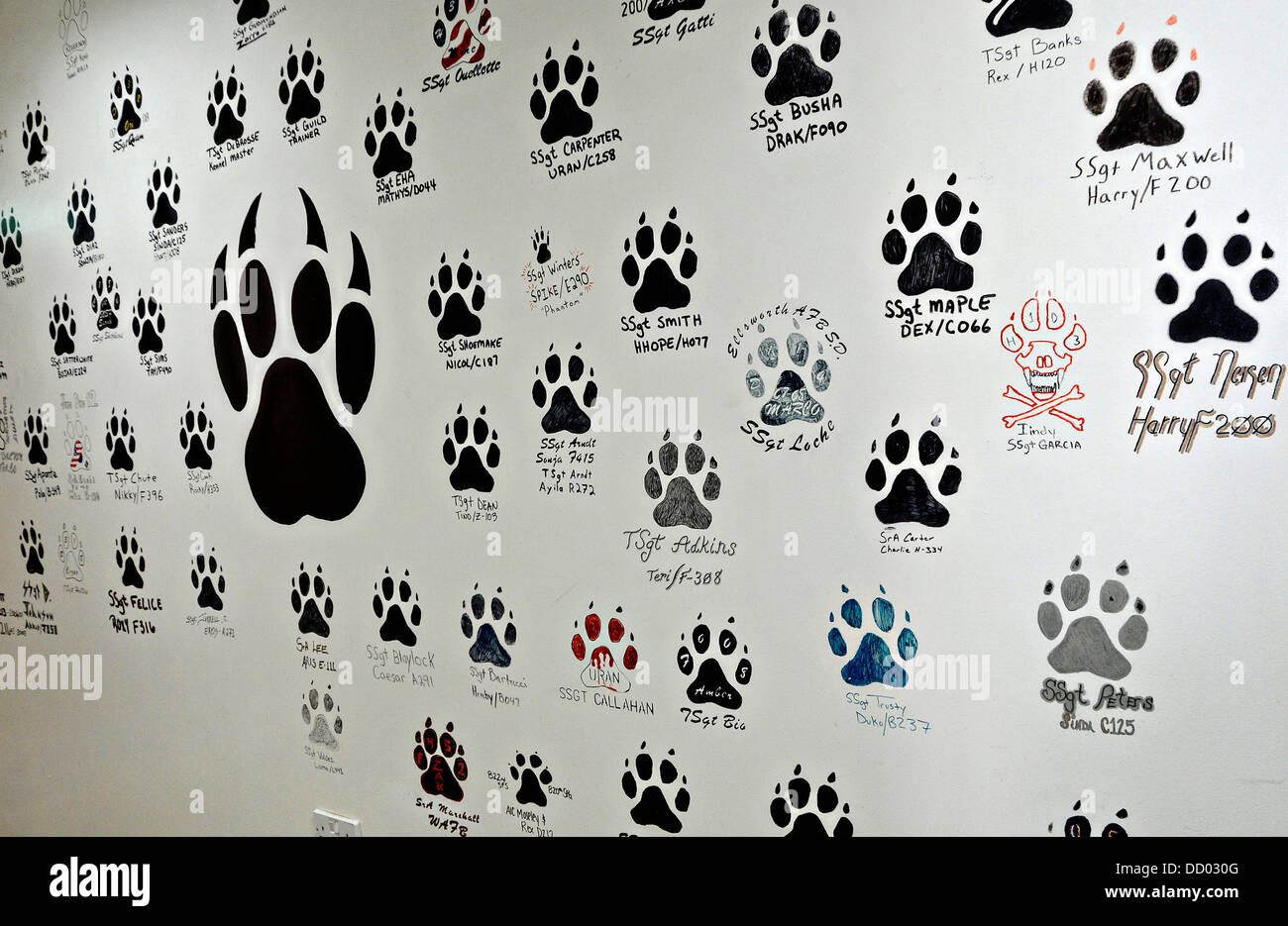 Stampe della zampa della US Air Force militare cani di lavoro assegnato al 386Expeditionary forze di sicurezza Squadron dipinto sul muro del volo ufficio Luglio 2, 2013 a Ali Al Salem Air Base in Kuwait. Foto Stock