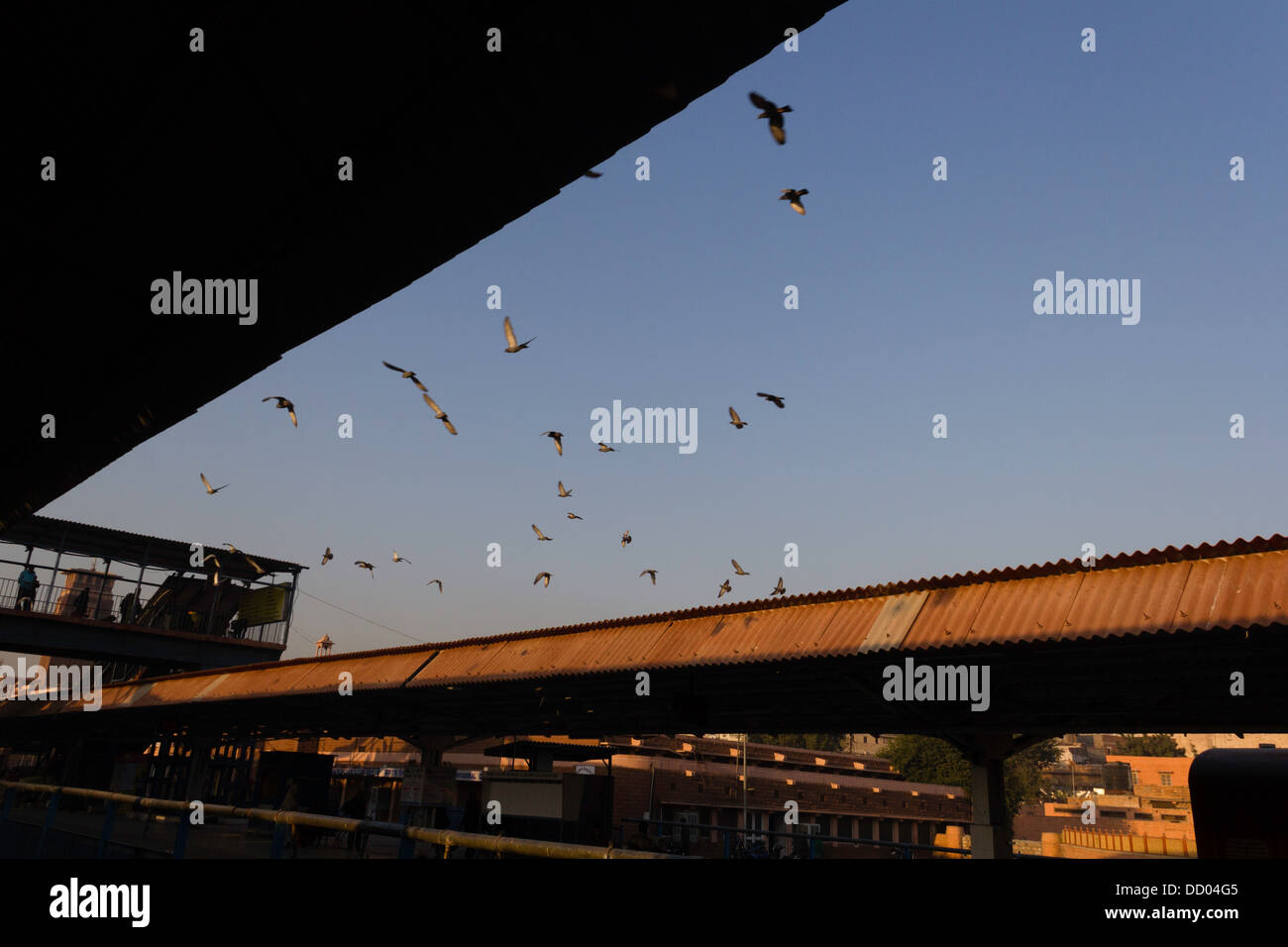 Piccioni sorvolano la Jodhpur stazione ferroviaria con un piede passeggero oltre il ponte e con luce e ombra a causa di sole al mattino Foto Stock