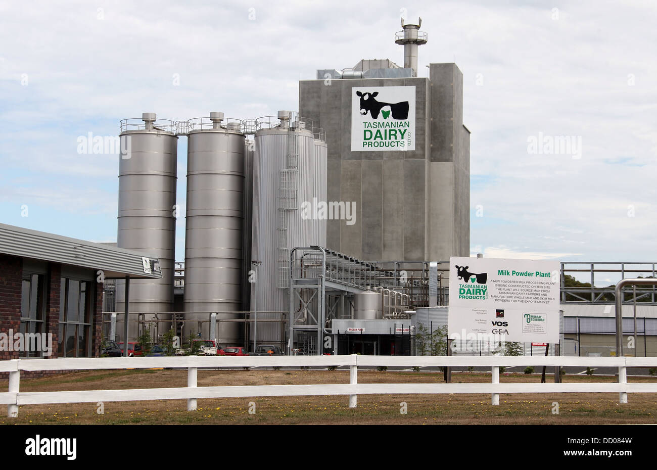 Latte in polvere impianto in Tasmania Foto Stock